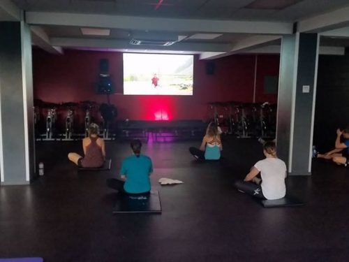 Virtual Classes Ymca Auckland City Yoga